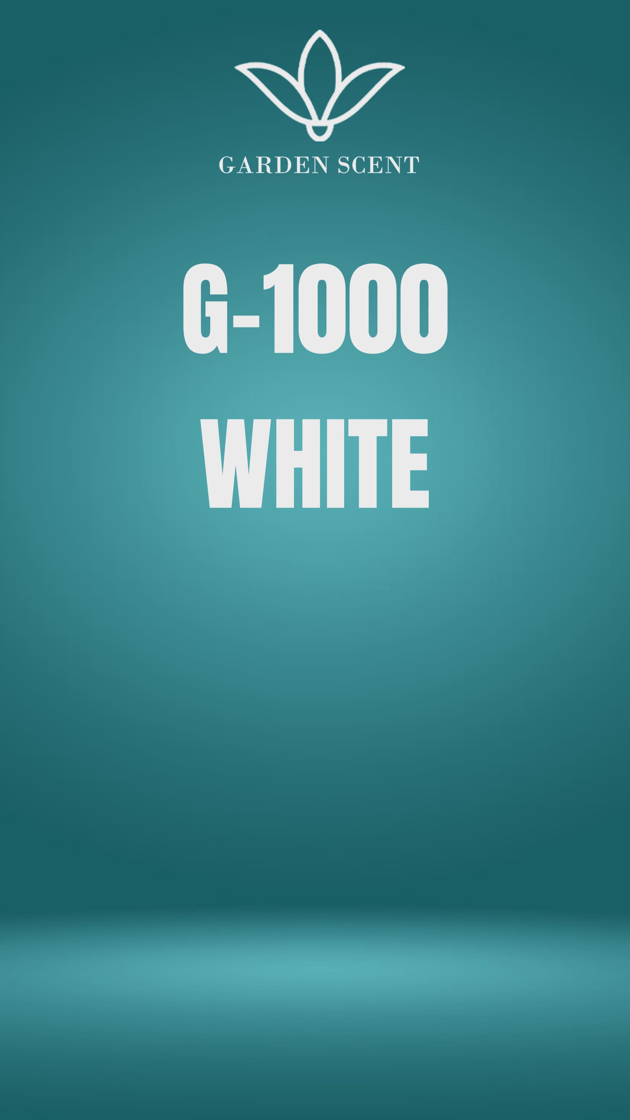 G-1000